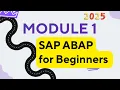 Module 1 How to Write your first ABAP program SAP Development System