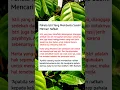 Download Lagu pahala istri yang membantu suami mencari nafkah #shorts #suamiistri #storyislami