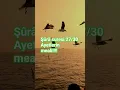 Lagu Şûrâ suresi 27/30 ayetlerin meali #amin #ilahirahmet #dua #sabahduasi