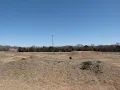 Allen Skatepark