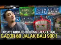 Lagu GUDANG JALAK ! OBRAL GACOR 60 JALAK BALI 900 CAK IJO 500 SEHAT PASAR BURUNG PRAMUKA HARI INI 