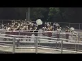 Eagle Pride Amplified PGCPS Marching Band Showcase 2023