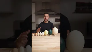 I Cooked The World S CRAZIEST Eggs 