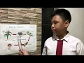 Download Lagu Presentasi Singkat Rantai Makanan Ekosistem Sawah kelas 5 SD