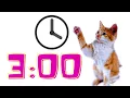 3 Minute Timer Animals