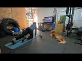 P90X Stretch