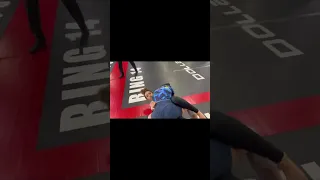 REF STOPS SUBMISSION 