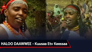 HALOO DAAWWEE Kuusaa Etv Keessaa 