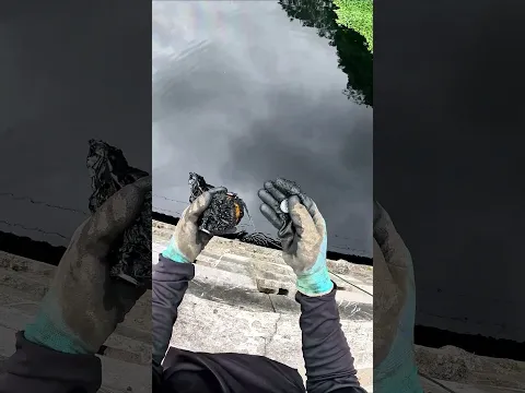 o que tem nesse saco?