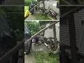 Deputies plunge several feet as deck collapses while trying to serve arrest warrant
