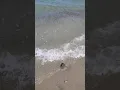 Relaxing Ocean Sounds - Duxbury Beach low tide