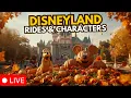 Live Disneyland Rides Characters Entertainment Disneyland Tuesday 08 18 2026
