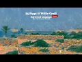 Download Lagu DJ Pippi \u0026 Willie Graff - Universal Language (Dominic Dawson Remix) - s0892