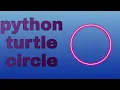 Python turtle circle turtle Coding