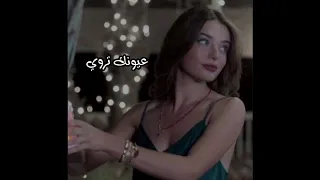 الشامي عل هون عيونك تروي العيون   دندنها