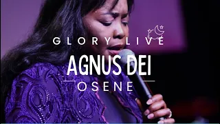 agnus dei official live video osene ighodaro