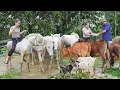 Download Lagu 330 Days Use Truck To Buy Many Horses, Cows, Goats, Pigs Go To Market Sell For Villager