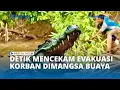 Lagu Detik-detik Mencekam saat Warga Berusaha Evakuasi Korban dari Mulut Buaya