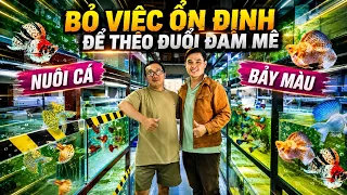 Thanh Niên Nghĩ Việc Công Ty Về Nuôi Cá Bảy Màu Và Cái Kết ? Betta Sales | Bảo Tồn Đam Mê 