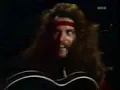 Ted Nugent - Great White Buffalo