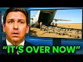 Florida Released Thousands of Komodo Dragons What Happened Next Will Shock Everyone