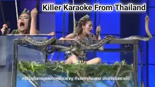killer karaoke from thailand super amazing show singing with bunch of snakes