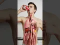 Lagu What Happens When You Drink Coca-Cola? | 3D Digestive System Animation
