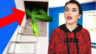 دخلت الغرفة المسكونة والسرية في بيتي   لقيت ثعبان     دندنها