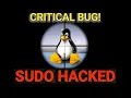 This Sudo Bug Gives Hackers INSTANT ROOT Access CVE-2025-32463