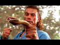 Download Lagu JCVD defiende palomas, monta caballos y lucha con serpientes entre dos trucos de acrobacias en moto\