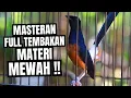Lagu MURAI BATU GACOR FULL ISIAN TEMBAKAN MEWAH AMPUH MEMANCING MURAI BATU BONGKAR ISIAN