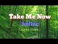 Take Me Now (Lyrics Video)by David Gates