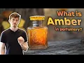 The 4 types of AMBER in perfumery