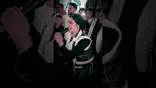 موال اتولدنا شقيانين مش من ع سرير من دهب النوتيلا ايه شعبان روقان السنين 