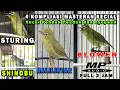 Download Lagu BAGUS BANGET BUAT JADI MASTERAN FOR KECIAL MUDA||EMPAT AUDIO KOMPLILASI KECIAL SUARA PENDEK TERBAIK