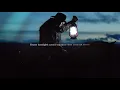 K-391, Alan Walker & Ahrix - End Of Time (VIZE Remix) [Lyrics]