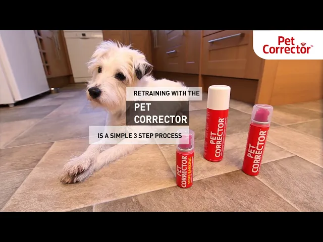 Pet Corrector 50mL