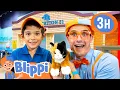 Blippi to the Rescue Saving a Kitty with Teamwork Fun - Blippi Educational s for Kids