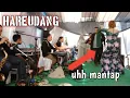 Lagu HAREUDANG PONGDUT