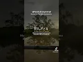 Download Lagu Surah Al Insyirah