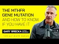 MTHFR Gene Mutation Explained How to Know If You Have It and What To Do About It TUH