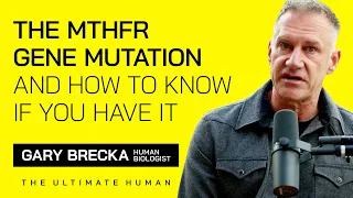 MTHFR Gene Mutation Explained How to Know If You Have It and What To Do About It TUH