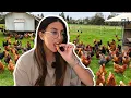 Ex-Vegan eats CHICKEN