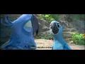 Rio 2 2014 - Blu And Jewel Argue