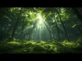 Download Lagu Vogelgekwetter - Bosochtend. Diepe Ontspanning, Geluiden voor Slaap, Meditatie \u0026 Stress.