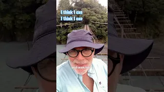 Shizuoka Keeps Surprising Me #longevity #japan #healthylifestyle