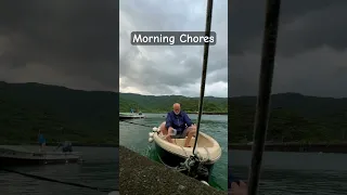 Morning Chores on the Water: Bailing 30 Liters of Rainwater! #japan #sailing #travel #boatlife