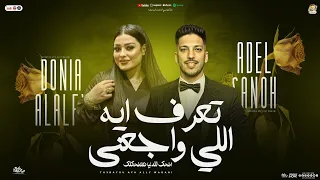 تعرف ايه اللي واجعني   اضحك للدنيا هتضحكلك   دنيا الالفي   عادل صانوه   تريندات شعبي جديد        دندنها