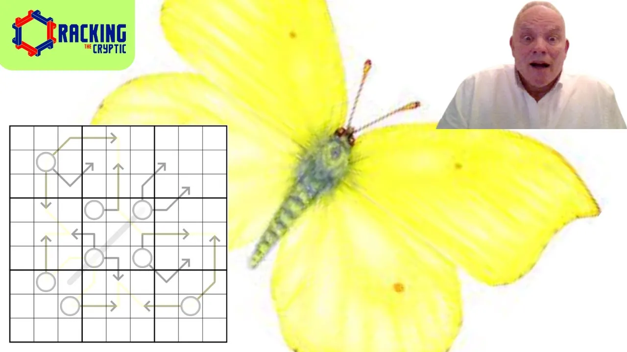 The Most Beautiful Butterfly Imaginable