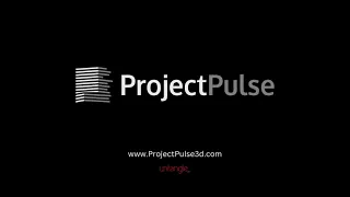 ProjectPulse Highlight Project Elements